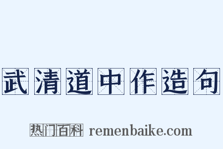 武清道中作造句是什么意思的图片